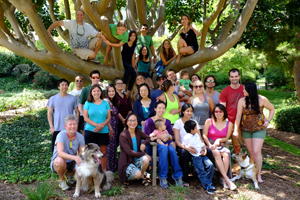 anderson lab, uc irvine